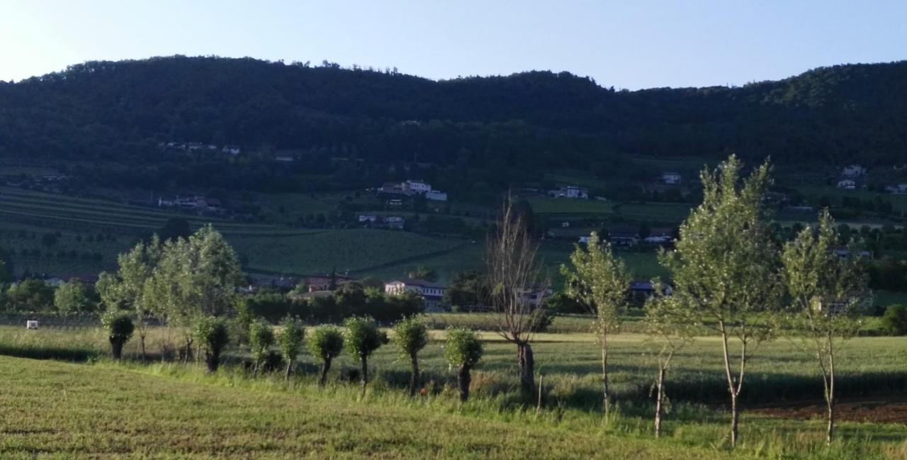 La Pergola Alloggio Brendola Εξωτερικό φωτογραφία